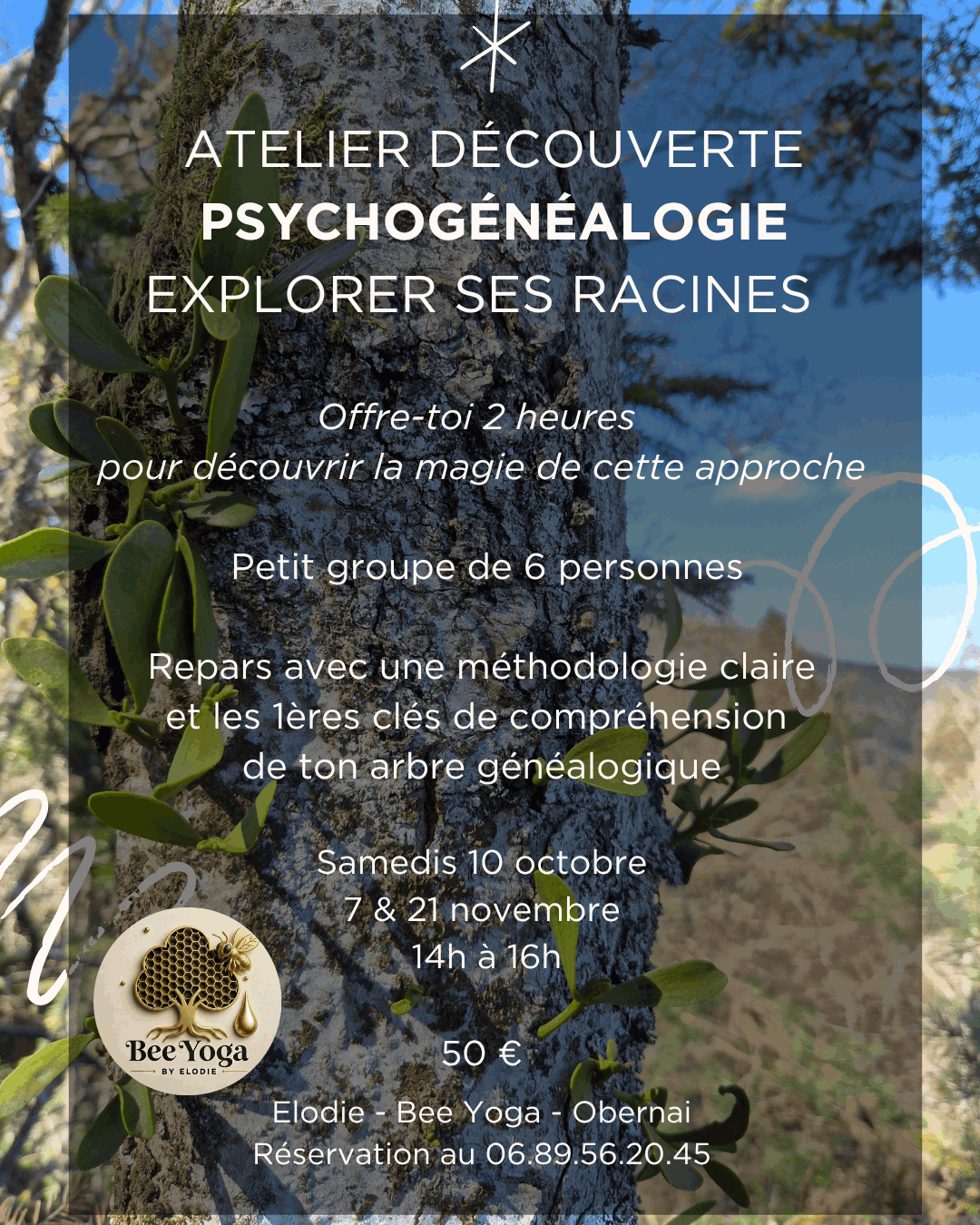 Atelier  Psychogénéalogie Obernai